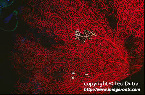 5819_26