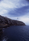 9163_26