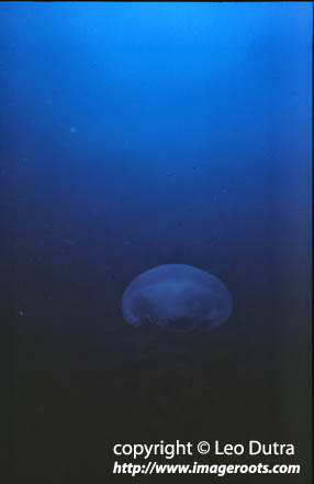 5813_25