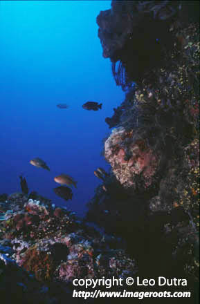 Lombok