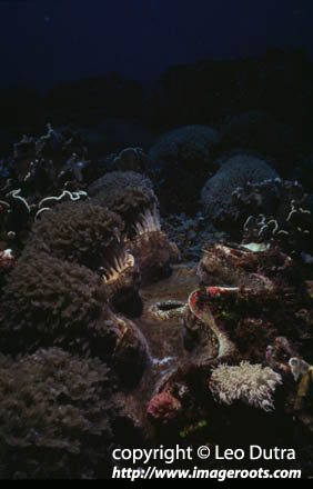 Gili Trawangan
