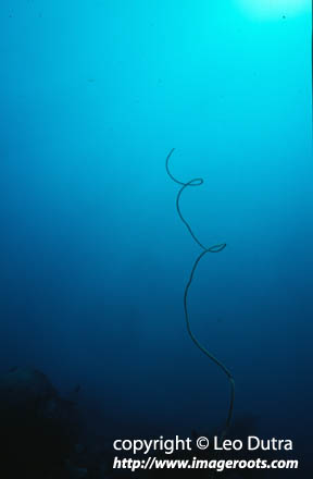 5821_7
