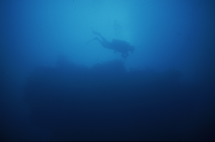 6286_3