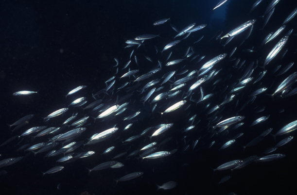 7318_3